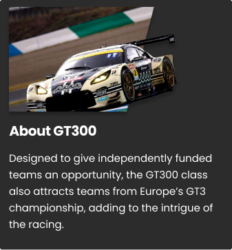 About GT300